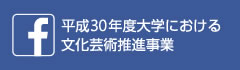平成30年度 大学における文化芸術推進事業