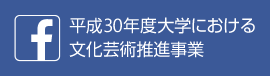 平成30年度 大学における文化芸術推進事業