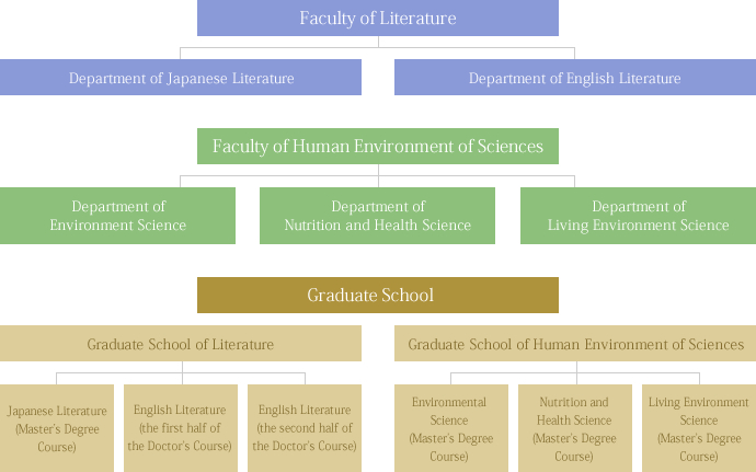 Faculties and departments structure