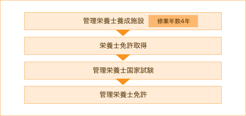 管理栄養士養成施設（修業年数4年）、栄養士免許取得、管理栄養士国家試験、管理栄養士免許の順で免許取得を目標としていきます。