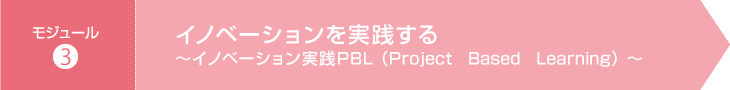 モジュール3：イノベーションを実践する～イノベーション実践PBL（Project　Based　Learning）～