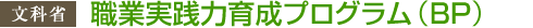 文科省 職業実践力育成プログラム（BP）