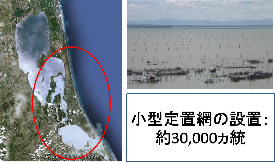 タイ・ソンクラ湖と小型定置網の設置状況（2010年時点）