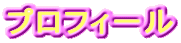 �v���t�B�[��